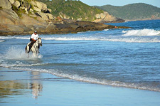 Brazil-Rio/Sao Paulo-Darwin's Rainforest Trail